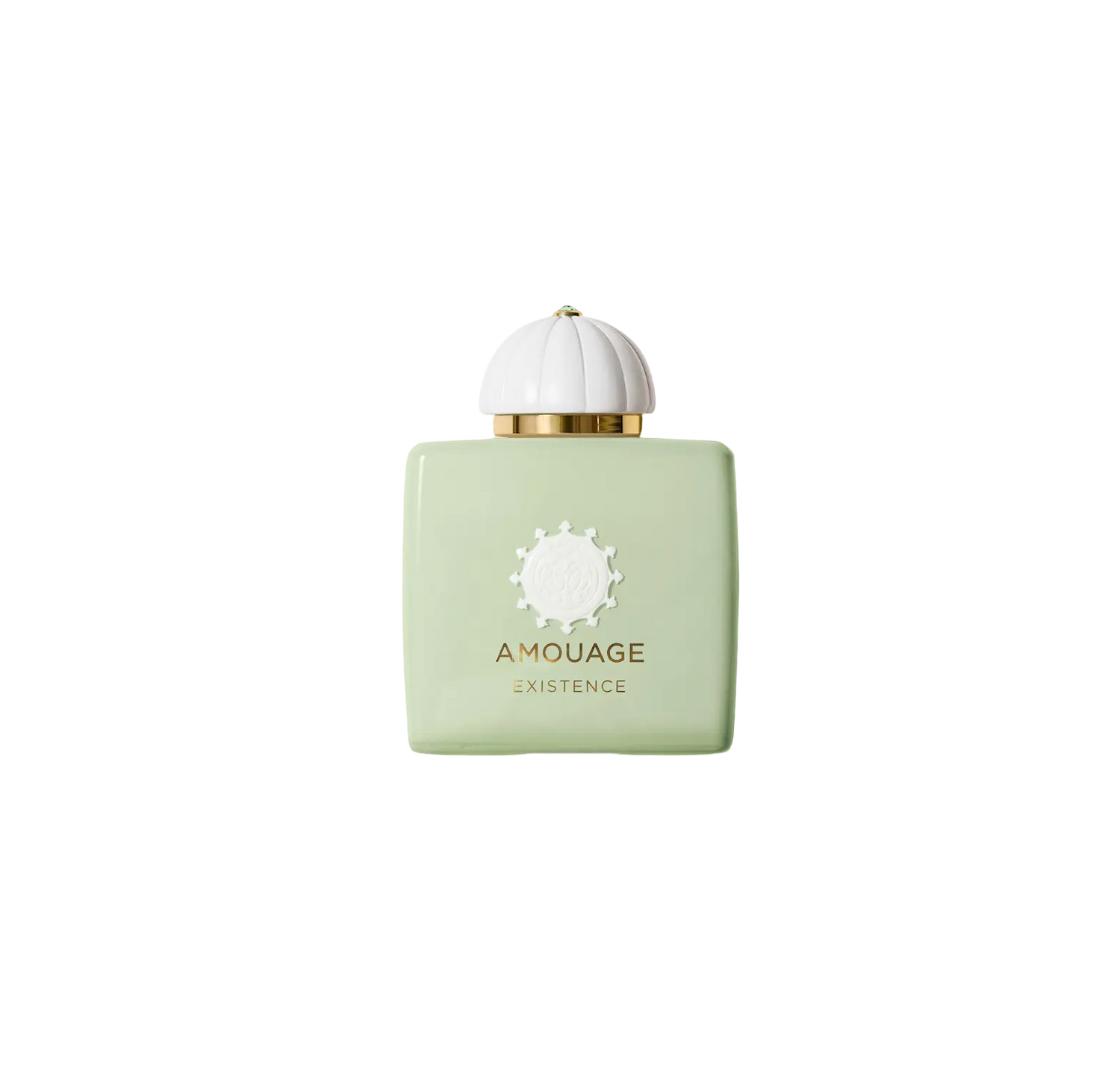 Amouage Existence - 100 ML PARFÉMOVÁ VODA 