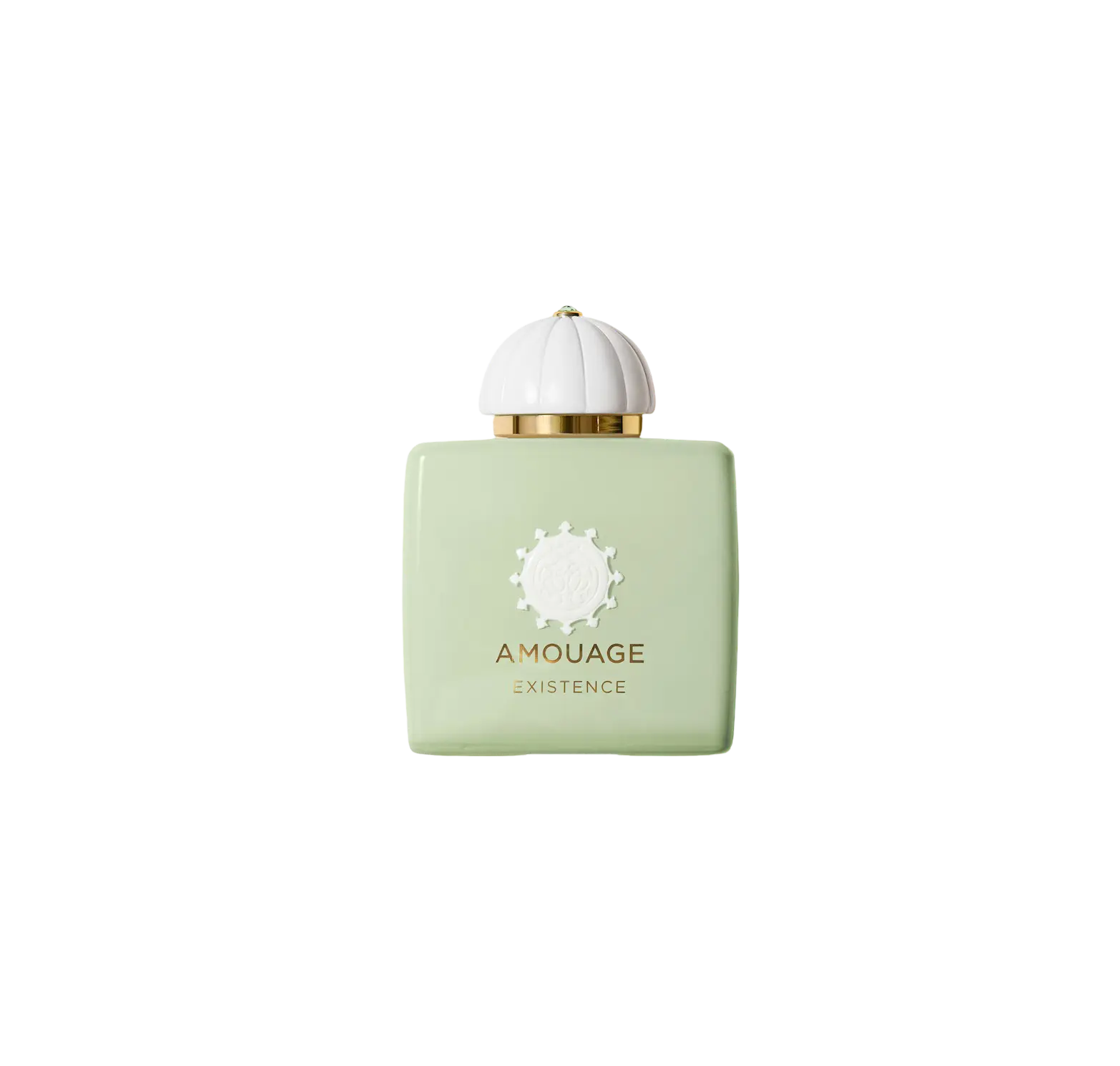 Amouage Existence - 100 ML PARFÉMOVÁ VODA 
