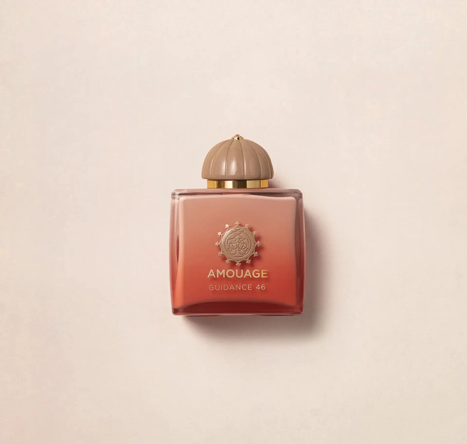 Amouage ガイダンス 46 - 100 ml エキス