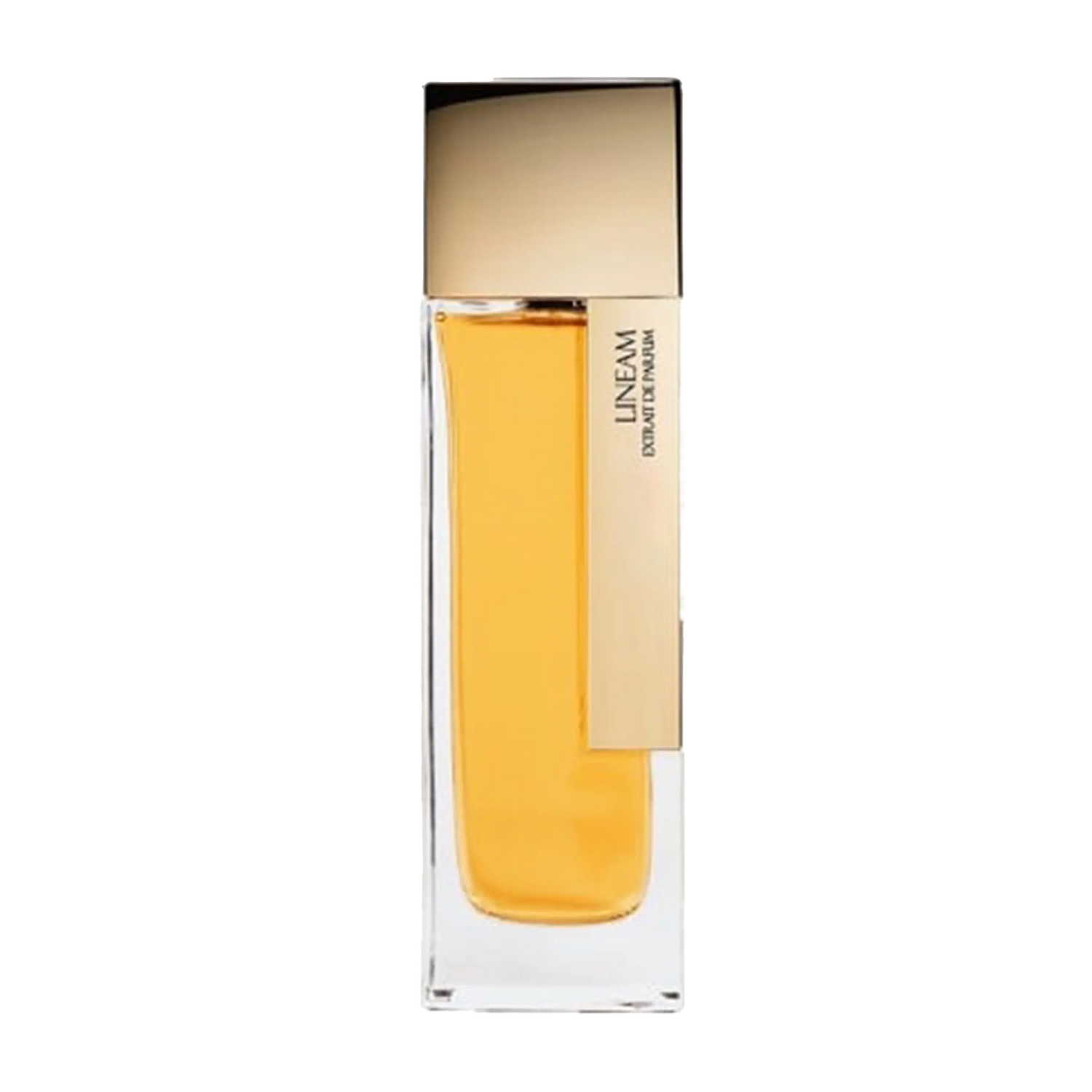Laurent mazzone Lineam 100 ML Eau de Parfum