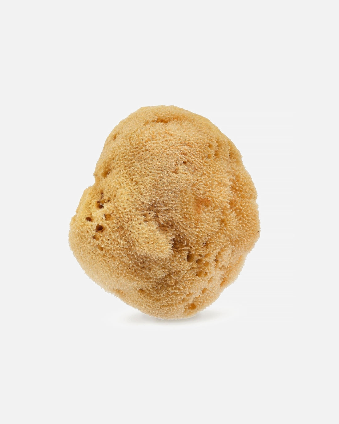 Hhuumm 01F Natural Sponge — spugna doccia naturale marrone 12,5 cm