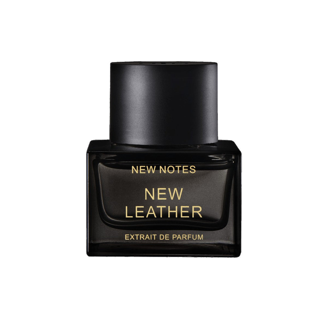 Nouvelles notes Extrait de cuir neuf - 50 ml