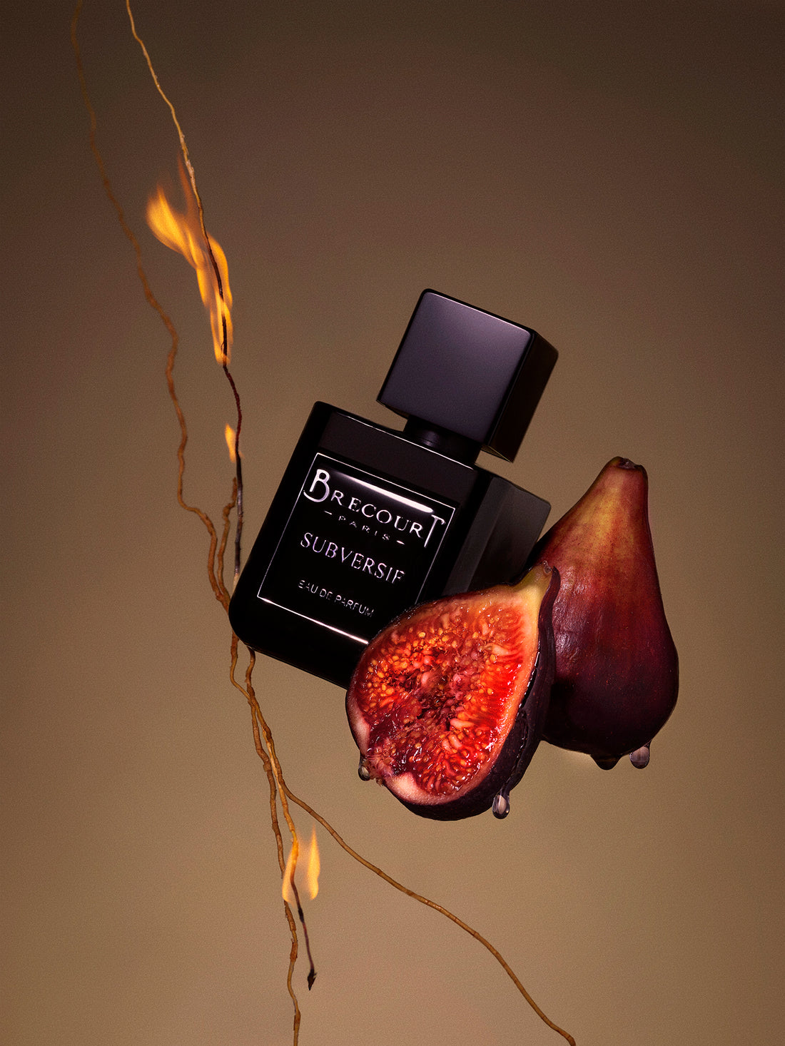 Brecourt Subversif Unisex 100 ml — Eau de Parfum
