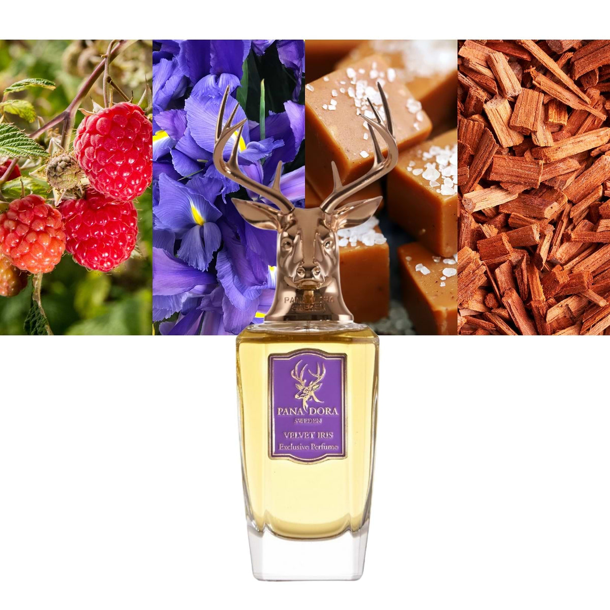 Pandora Velvet Iris 100 ml — Eau de Parfum Donna