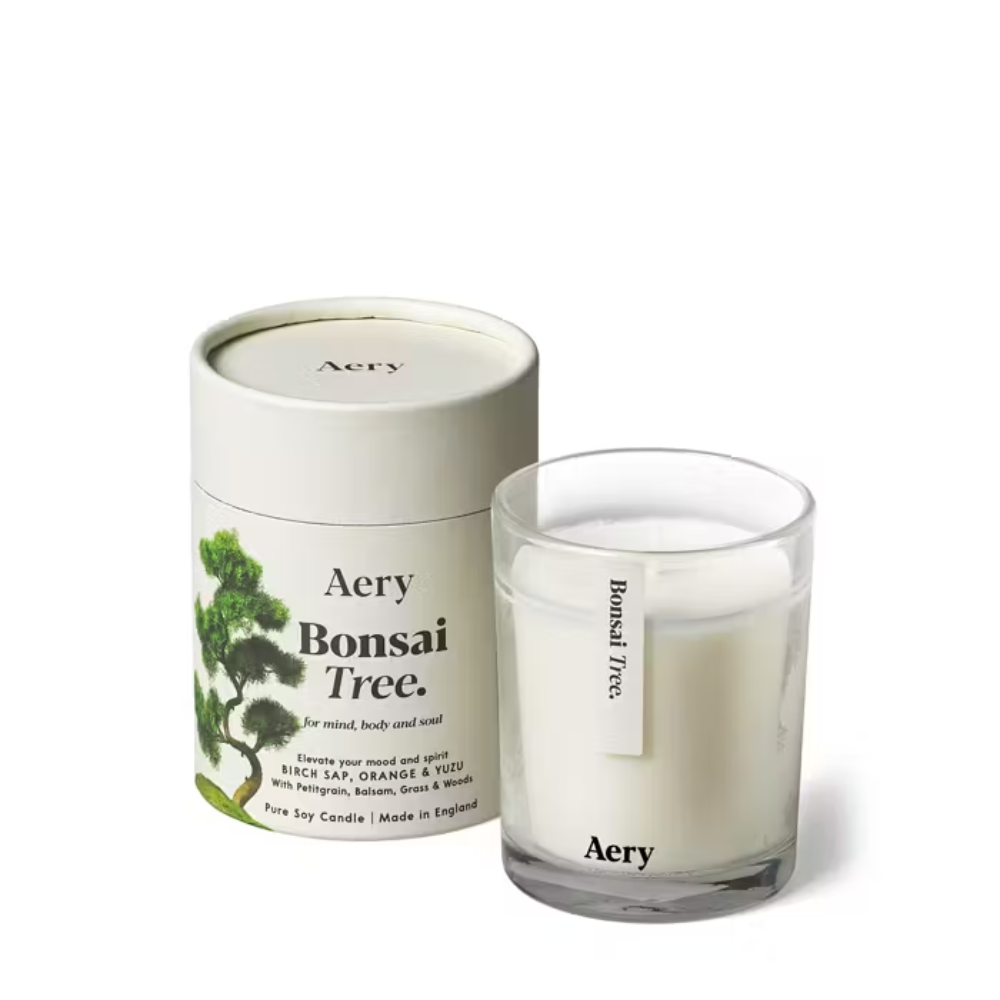 Aery Botaniczne drzewko Bonsai 200 g