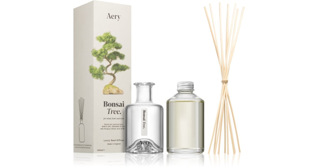 Aery Árvore Bonsai Botânica 200 ml