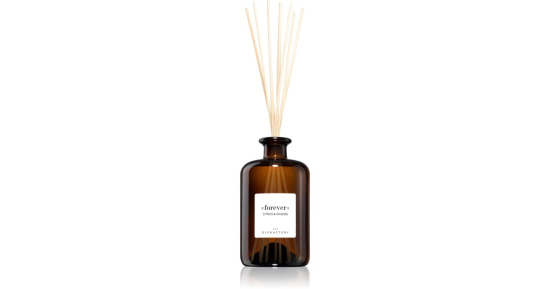 Ambientair The Olphactory Citrus &amp; Shades diffusore di aromi Forever 500 ml