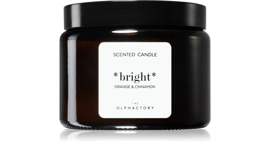 Ambientair The Olphactory Orange &amp; Cinnamon candela profumata Bright 360 g