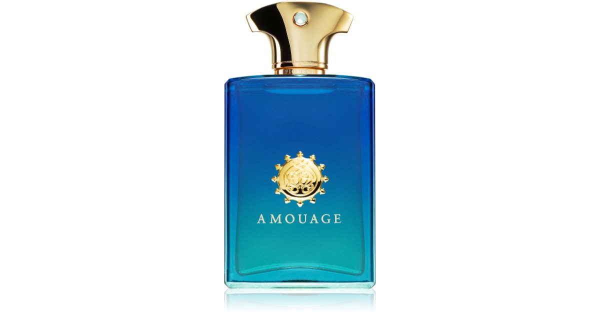 Amouage 남성용 피그먼트 오 드 퍼퓸 100 ml