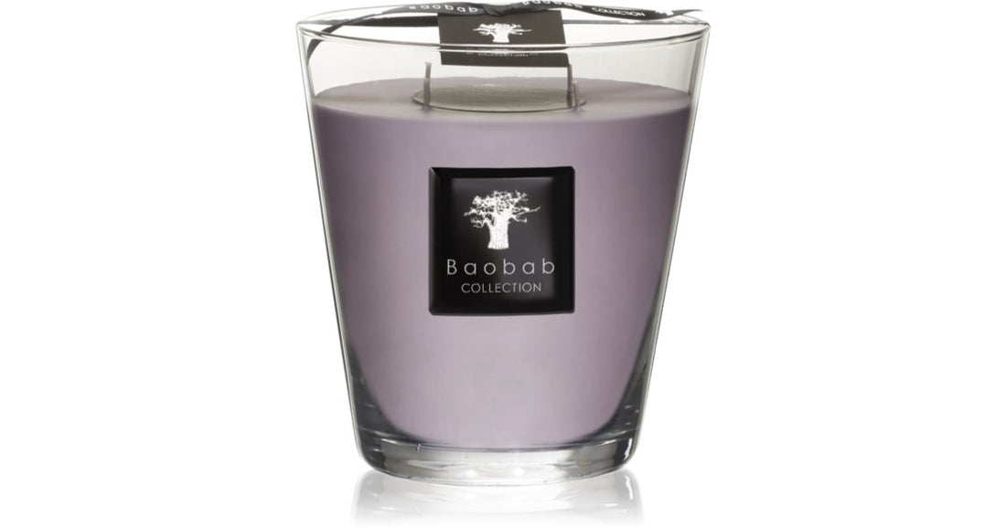 Baobab Collection Bougie parfumée All Seasons White Rhino 10 cm