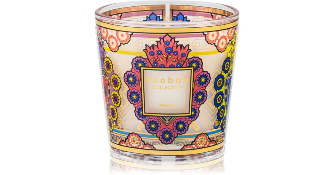 Baobab Collection Мой первый баобаб Мексика 8 см