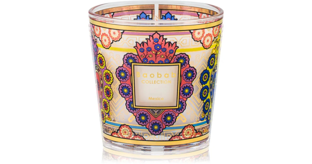 Baobab Collection Мой первый баобаб Мексика 8 см