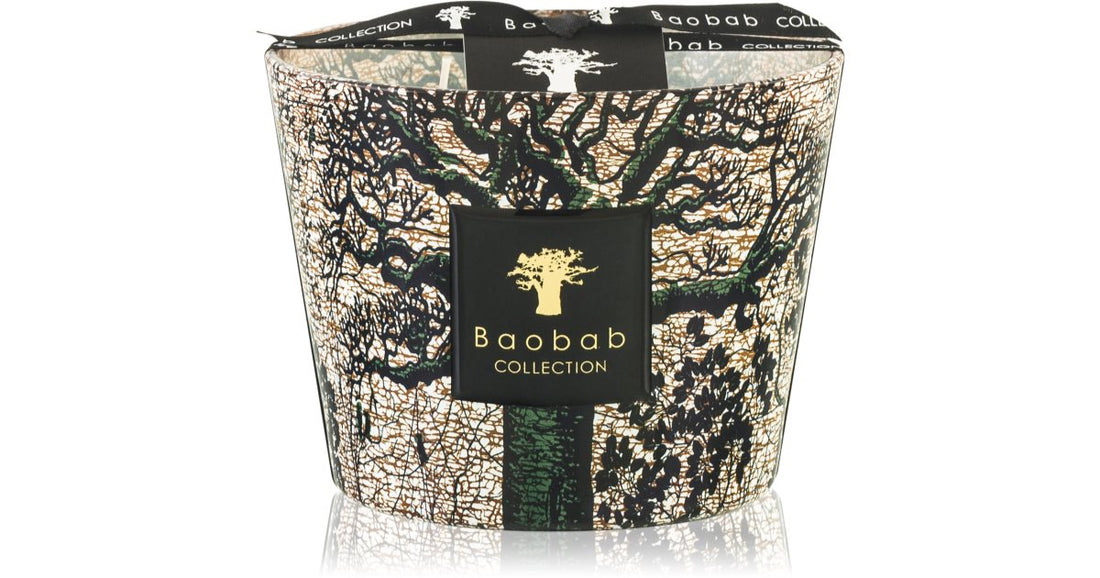 Baobab Collection Bougie parfumée Arbres Sacrés Kani 16 cm