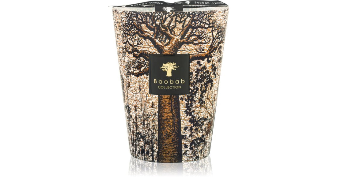 Baobab Collection Árboles Sagrados Morondo vela perfumada 10 cm