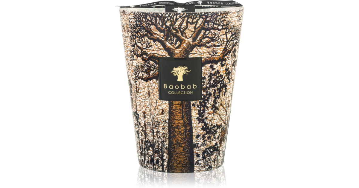 Baobab Collection Sacred Trees Morondo scented candle 10 cm