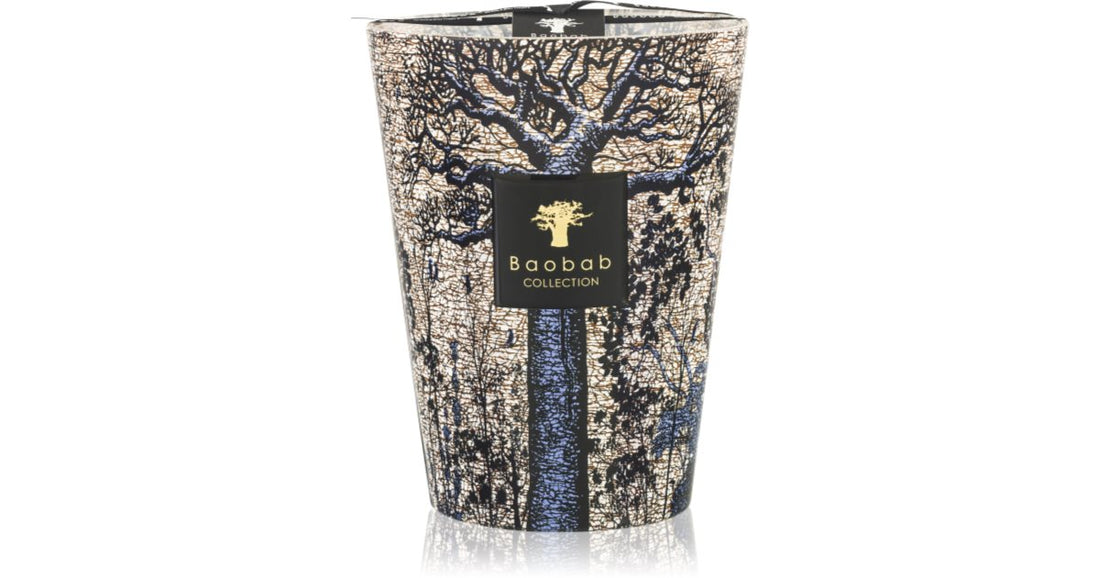 Baobab Collection Ароматическая свеча Sacred Trees Seguela 10 см