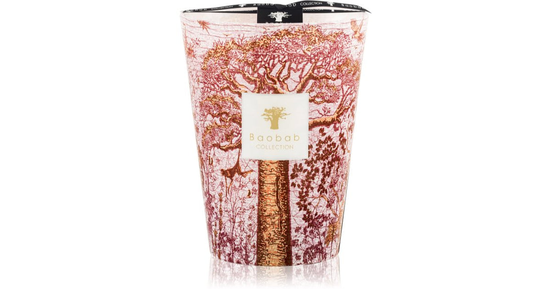 Baobab Collection Vela perfumada Sacred Trees Woroba 24 cm