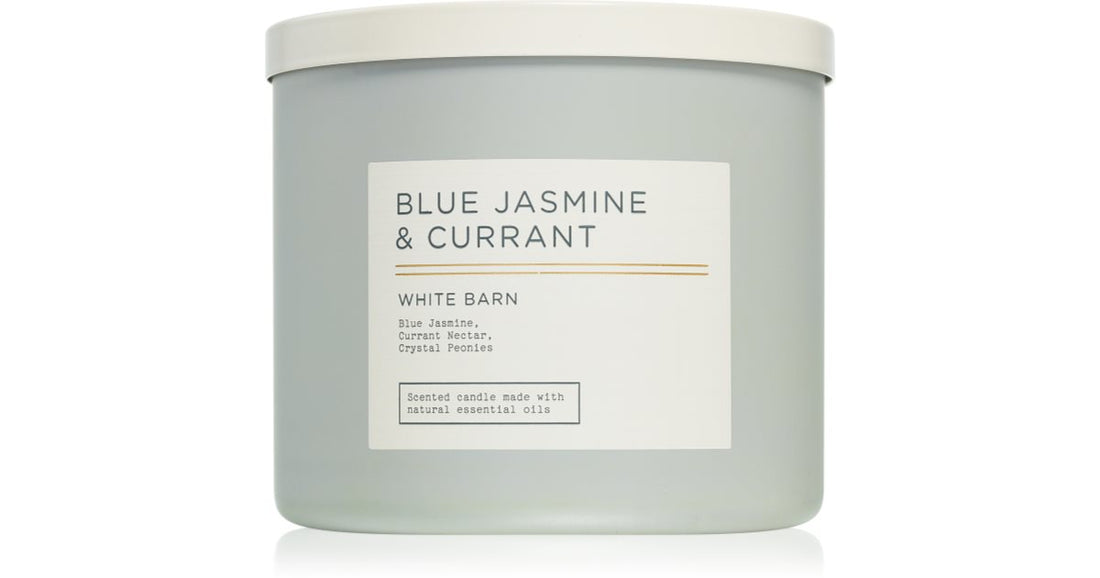 Bath &amp; Body Works Blå jasmin og ribs 411 g