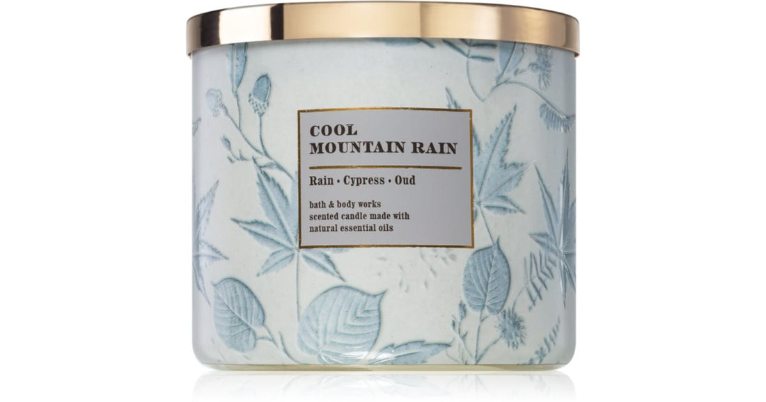 Bath &amp; Body Works Cool Mountain Rain 411 g