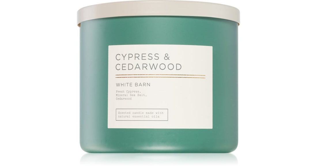 Bath &amp; Body Works Ciprés y Cedro 411g