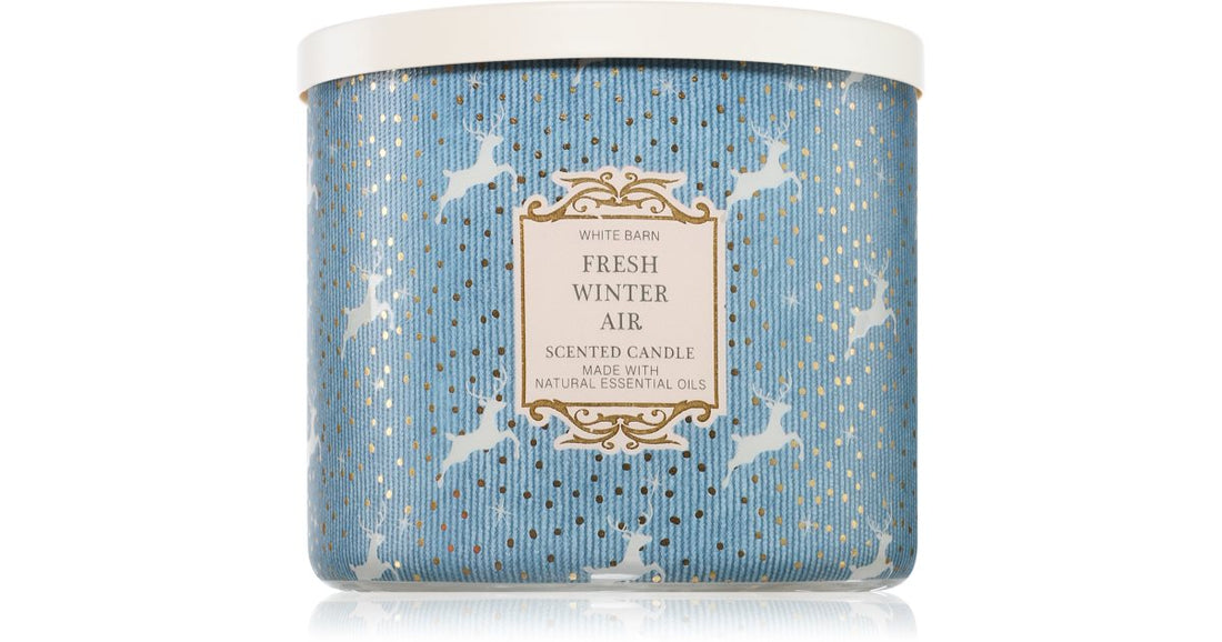 Bath &amp; Body Works Fresh Αρωματικό κερί Winter Air 411 γρ