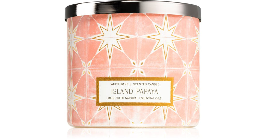 Bath &amp; Body Works Inselpapaya 411 g