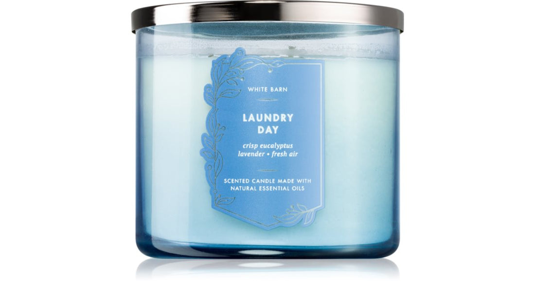 Bath &amp; Body Works Día de lavado 411 g