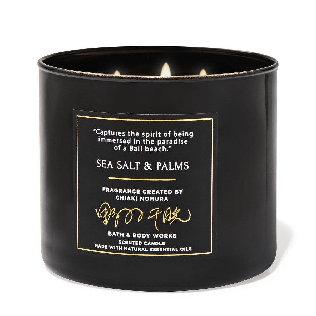 Bath &amp; Body Works Sare de mare și palmieri 411 g