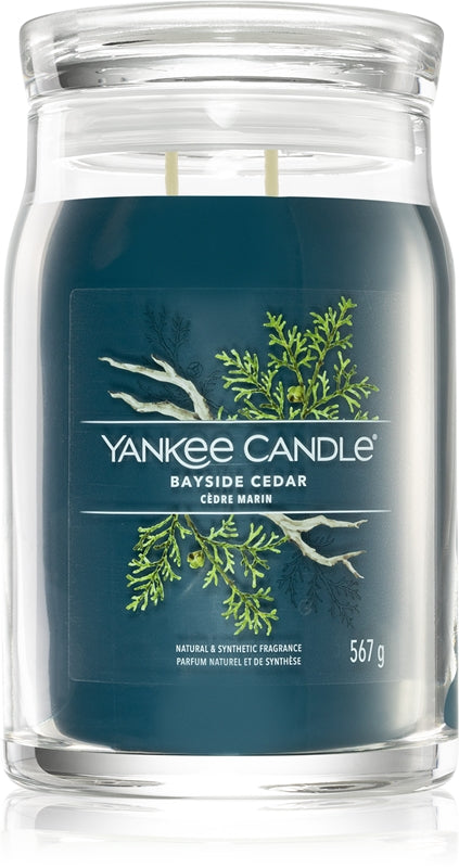 Yankee Candle Bayside Cedar candela profumata Signature 567 g
