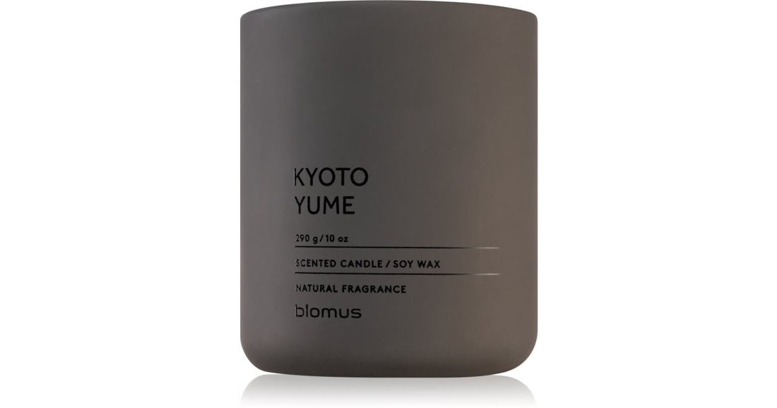 Blomus Fraga Kyoto Yume 290 גרם