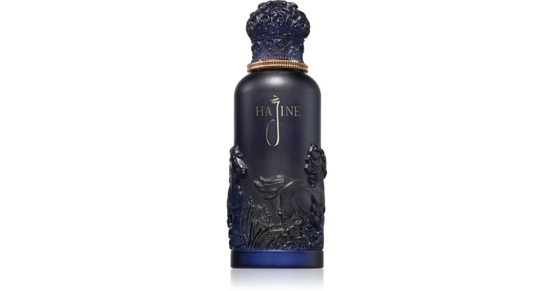 Hajine Blue Knight Eau de Parfum unisex 100 ml