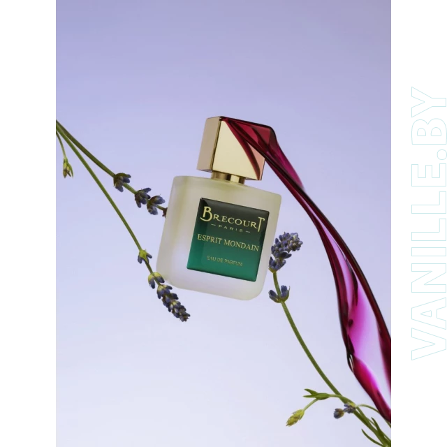 Brecourt Esprit Mondain Unisex 50 ml — Eau de Parfum