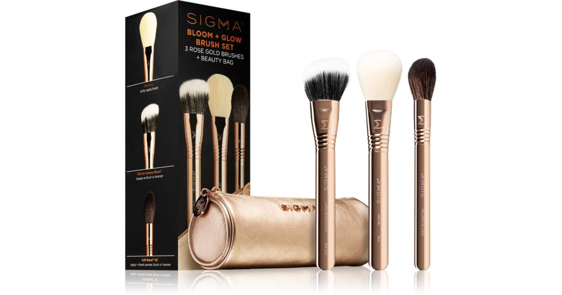 Sigma Beauty Brush Set Bloom + Glow set di pennelli con custodia