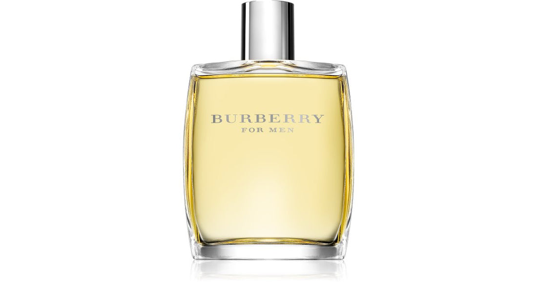 Burberry Burberry voor mannen Eau de Toilette voor mannen 100 ml