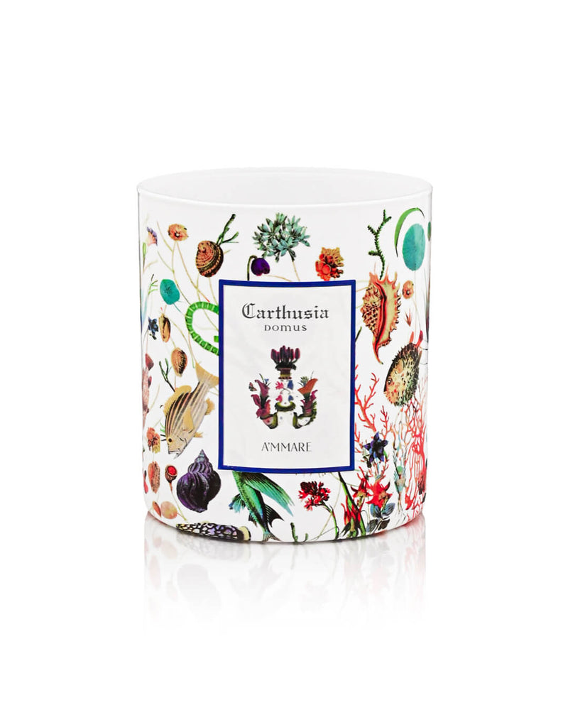 Carthusia شمعة معطرة برائحة أماري لأجواء مريحة 300 جرام