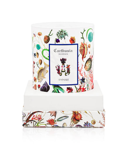 Carthusia شمعة معطرة برائحة أماري لأجواء مريحة 300 جرام