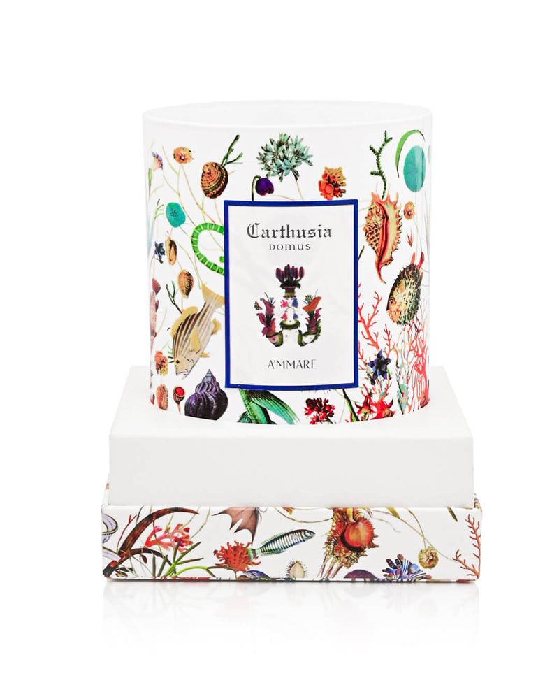 Carthusia شمعة معطرة برائحة أماري لأجواء مريحة 300 جرام