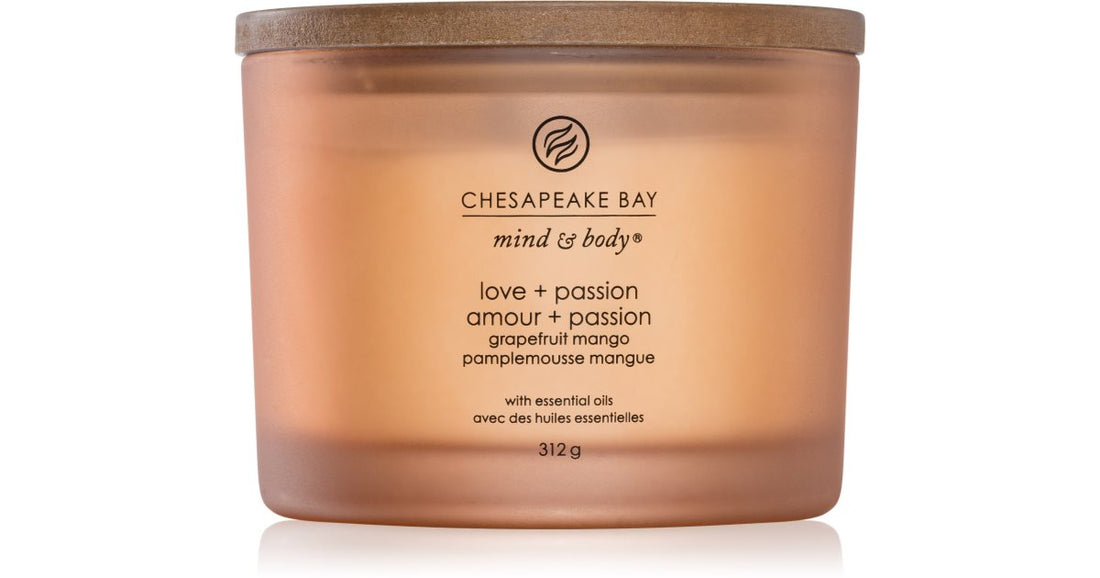 Chesapeake Bay Candle شمعة العقل والجسم الحب والعاطفة 312 جم