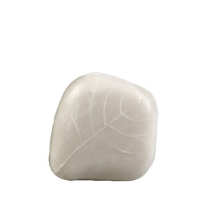 Christian tortu Forets Sapone