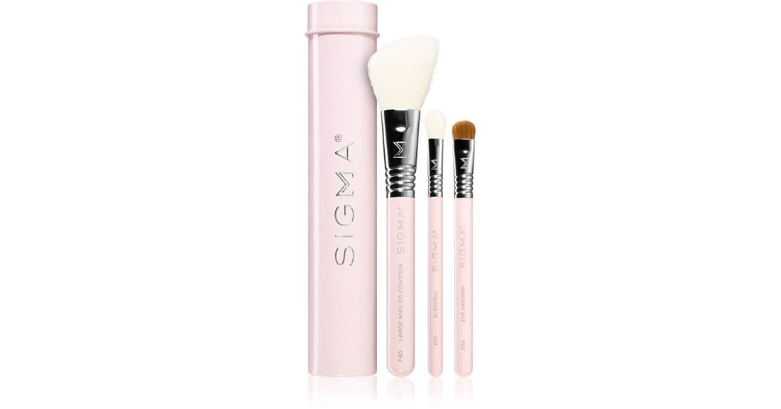 Sigma Beauty مجموعة فرش أساسية مع حقيبة 