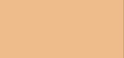 Erborian BB 크림 SPF 20 (BB 크림 메이크업 케어 얼굴 크림) 40 ml - 색상: Nude