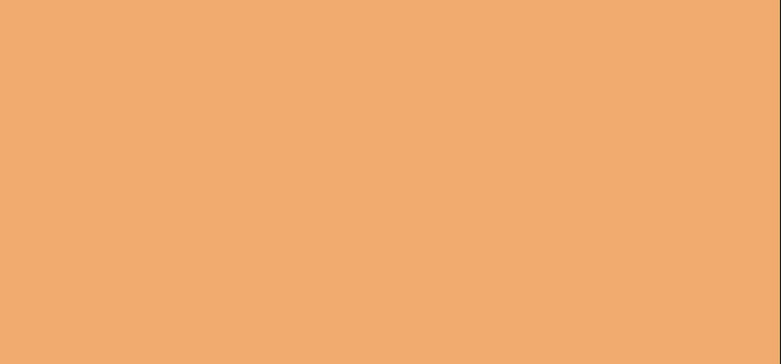 Erborian BB krém SPF 20 (BB Creme Make-up Care crema viso) 40 ml - Shade: Dore
