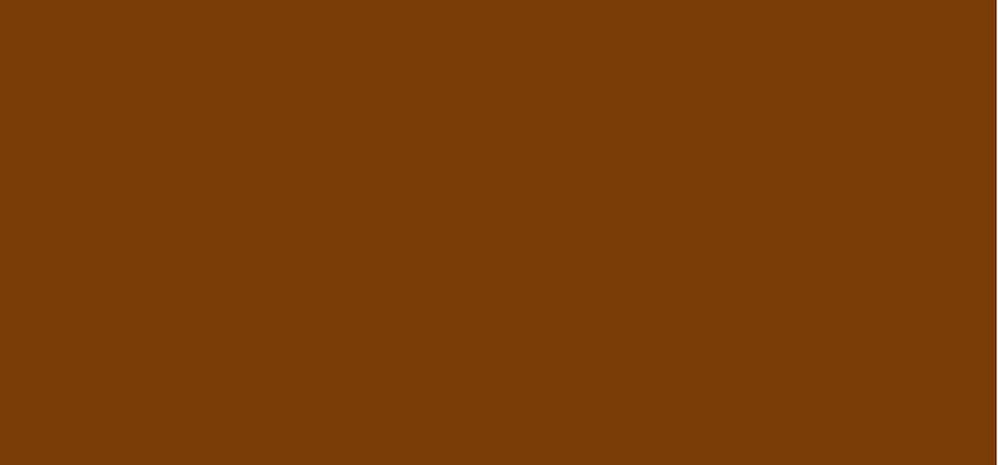 Laura Mercier Tinted Moisturizer Light Revealer — crema colorata idratante 50 ml - tonalità 6N1 Mocha