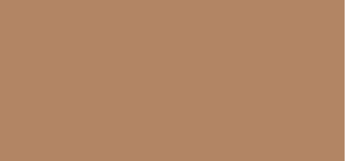 MAC Cosmetics Mineralize Skinfinish Natural — polvere cotta 10 g - Shade: Dark Deep