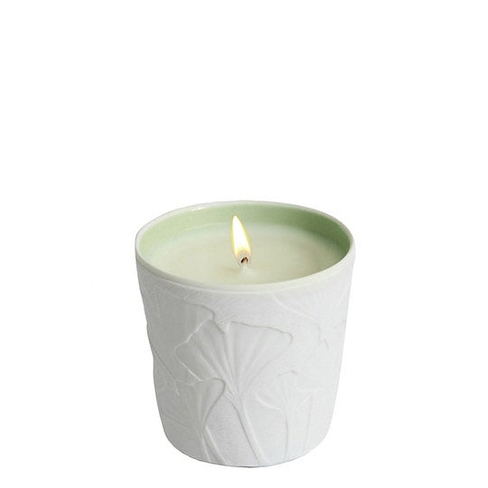 Le Jardin Retrouve Mousse Arashiyama 190 gr Candela