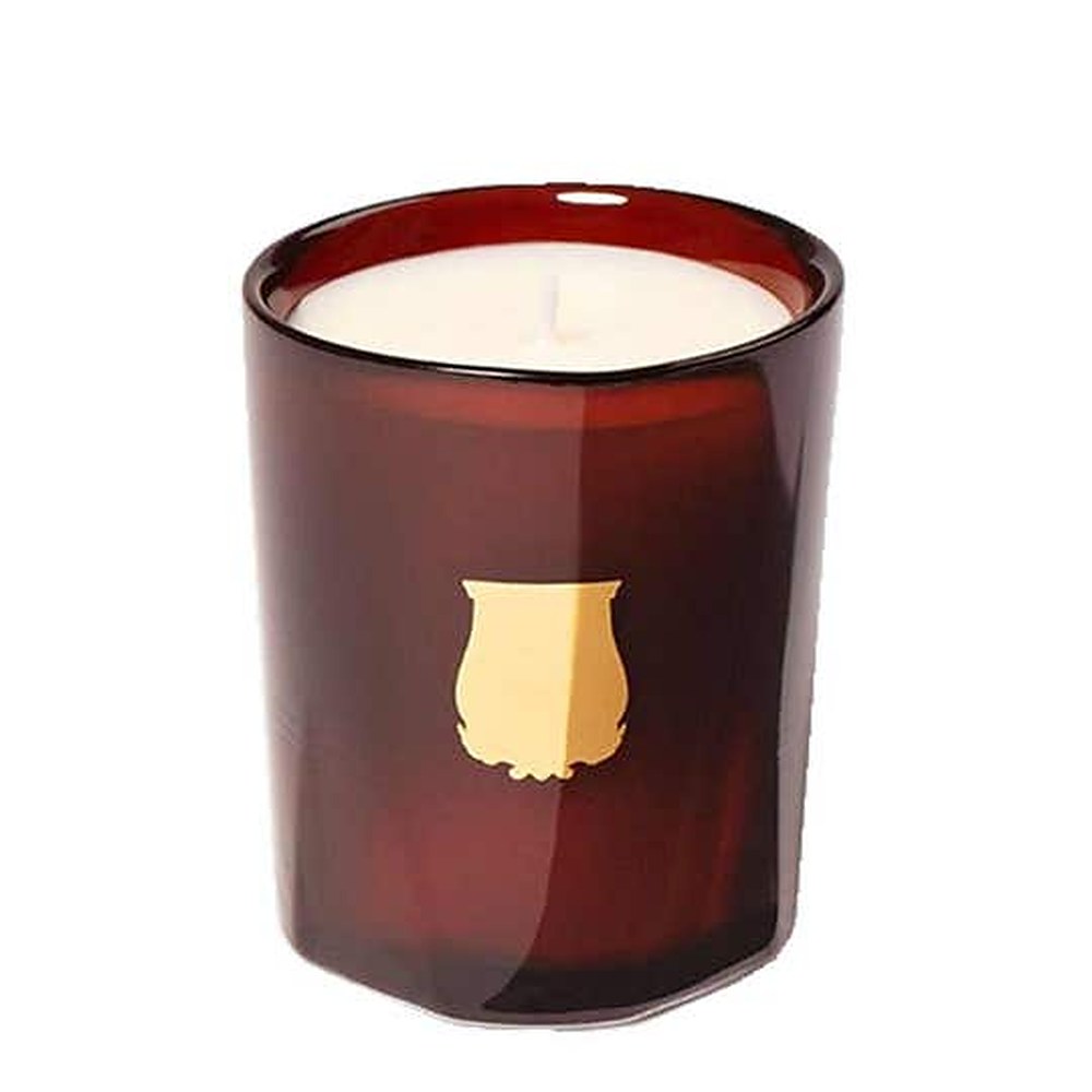 Trudon Cire 70 g — Candela