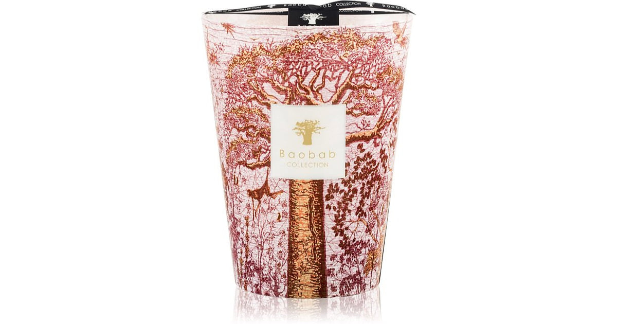Baobab Collection Sacred Trees Woroba 24 cm — Duftlys