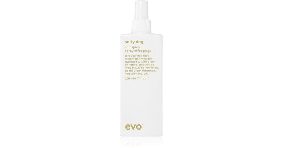 EVO 스타일 솔티 독 헤어 스프레이 200 ml