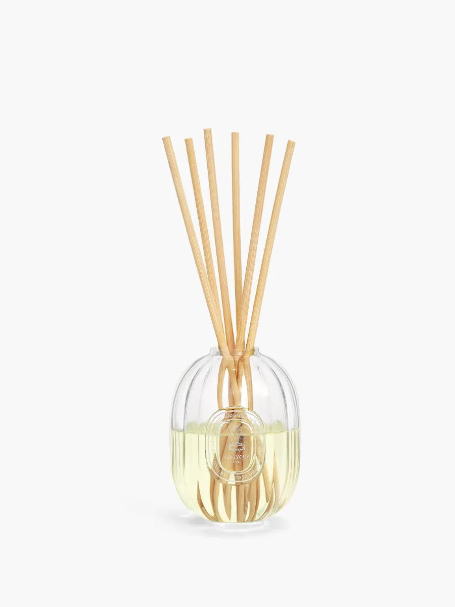 Diptyque Ambre Ricarica per Diffusore a Bastoncini 200 ml — Ricarica Diffusore