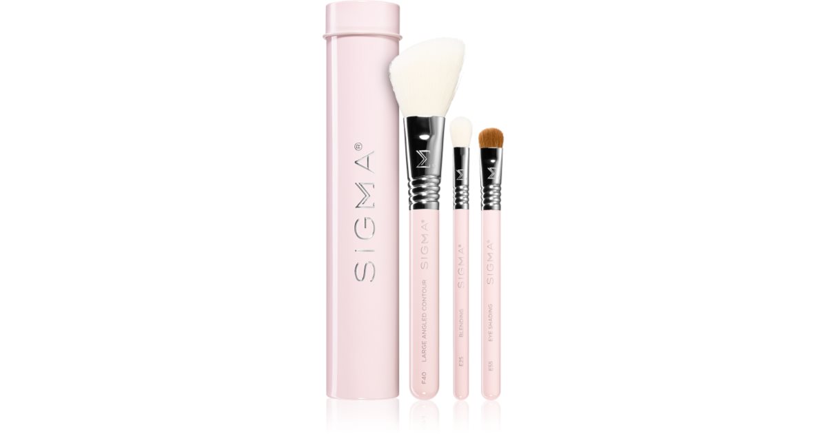 Sigma Beauty Essential brush set with case 